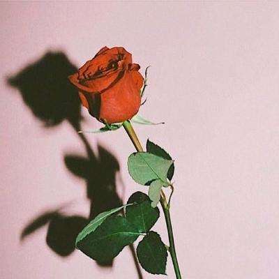 星空线上官网app下载