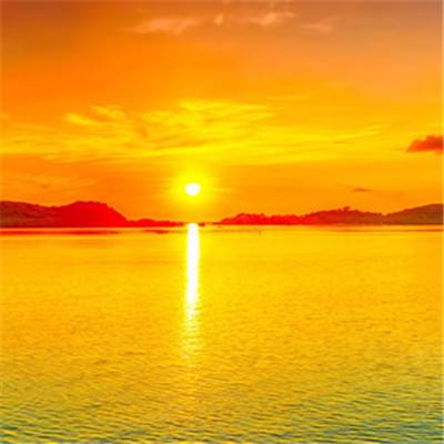 体育电竞押注网站大全