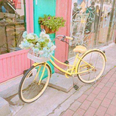 金星棋牌手机app下载