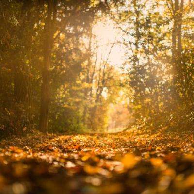 manbetx官网在线登录