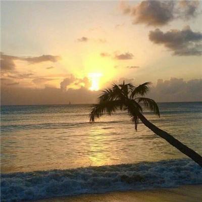 江南官方网站下载下载手机版