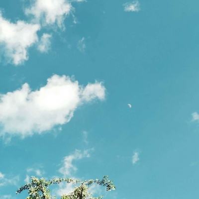 AG九游会下载手机版